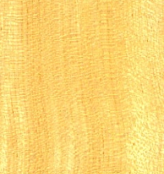 PAU AMARELO