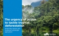 Rapport IDH sur l&#039;état des lieux des efforts déployés pour mettre fin à la destruction des forêts tropicales